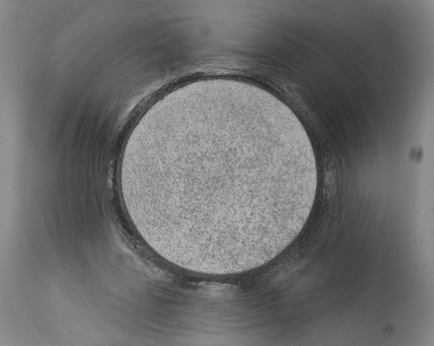 X0000113960539200911061328