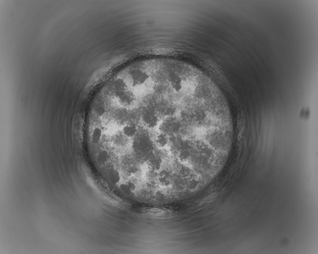 X0000113960542200911061328