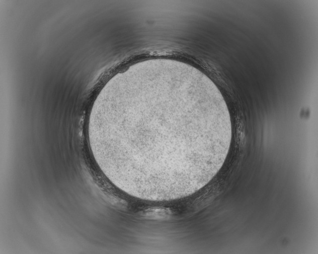 X0000113960543200911061328