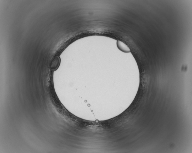 X0000113960544200911061328
