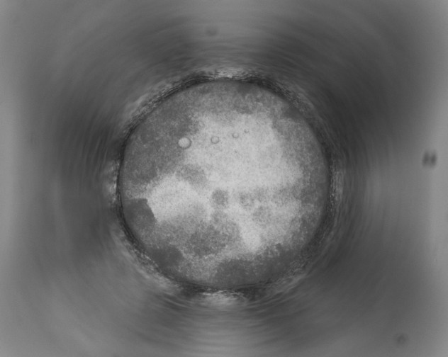 X0000113960545200911061328