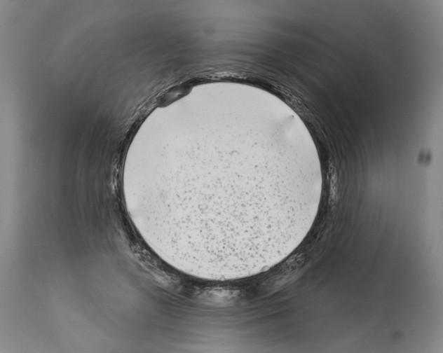 X0000113960546200911061328