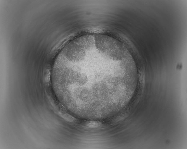 X0000113960549200911061328