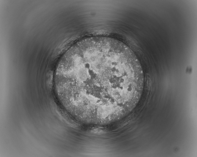 X0000113960550200911061328
