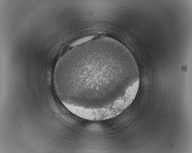 X0000113960551200911061328