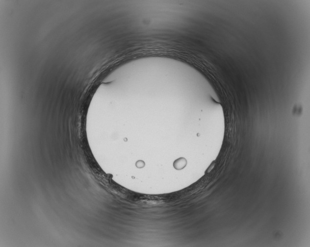 X0000113960552200911061328
