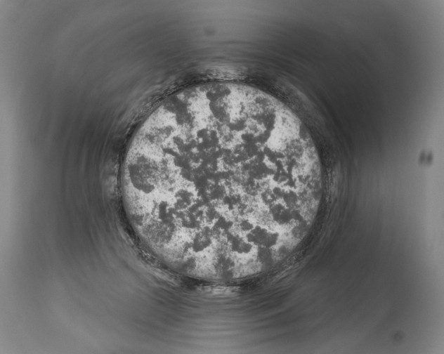X0000113960553200911061328