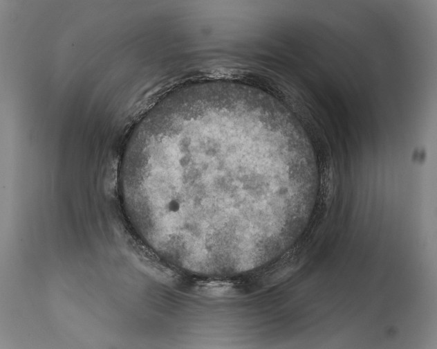 X0000113960554200911061328