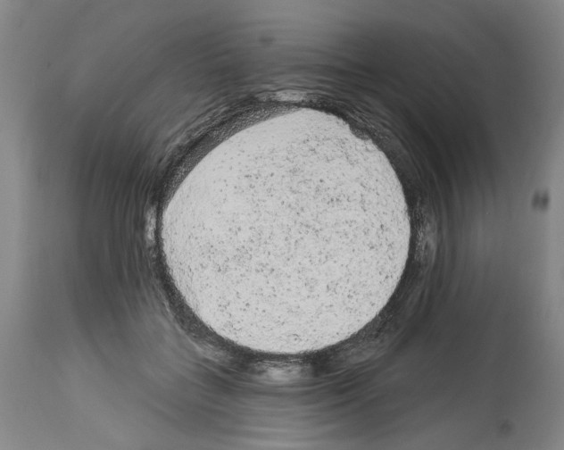 X0000113960555200911061328