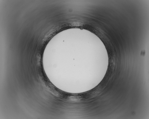 X0000113960556200911061328