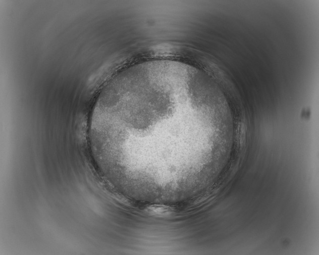 X0000113960557200911061328