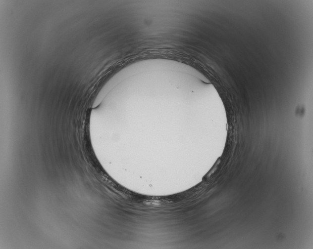 X0000113960558200911061328