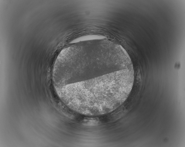 X0000113960559200911061328