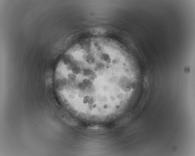 X0000113960561200911061328