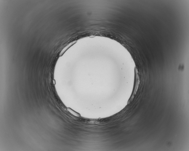 X0000113960562200911061328