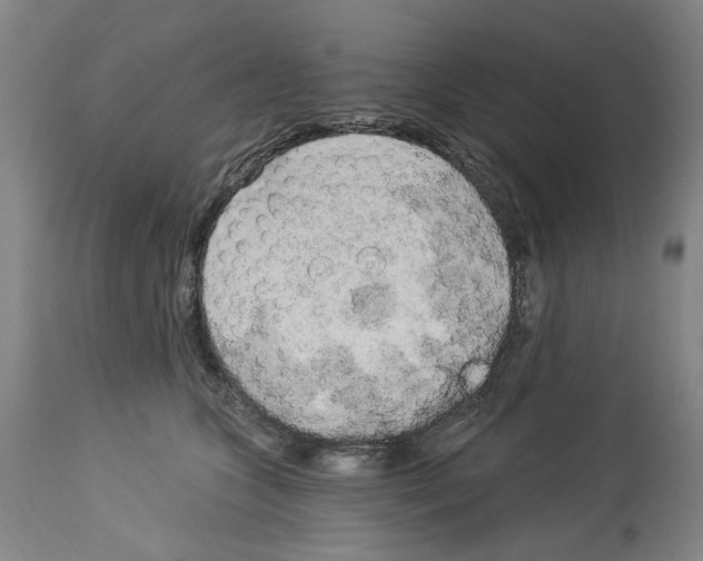 X0000113960563200911061328