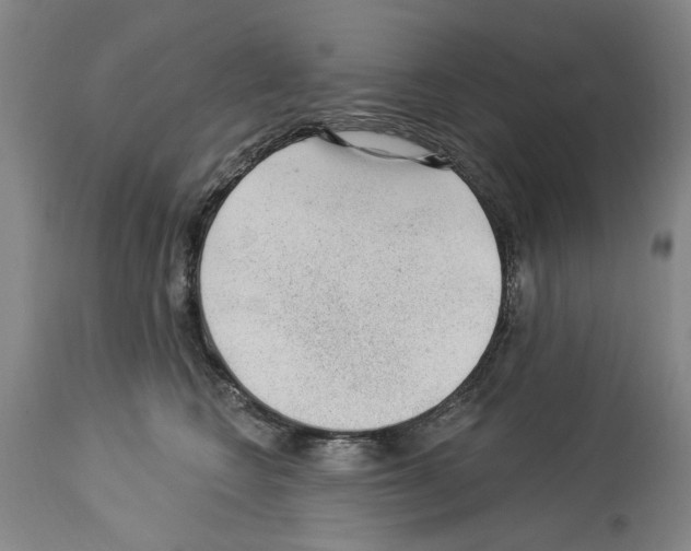 X0000113960566200911061328