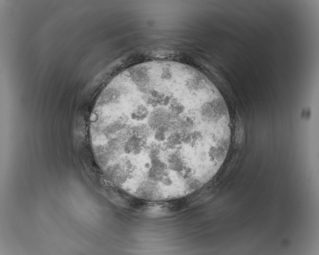 X0000113960569200911061328