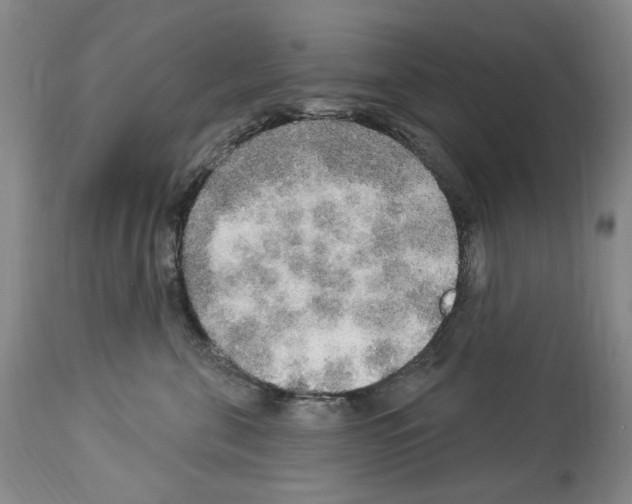 X0000113960571200911061328