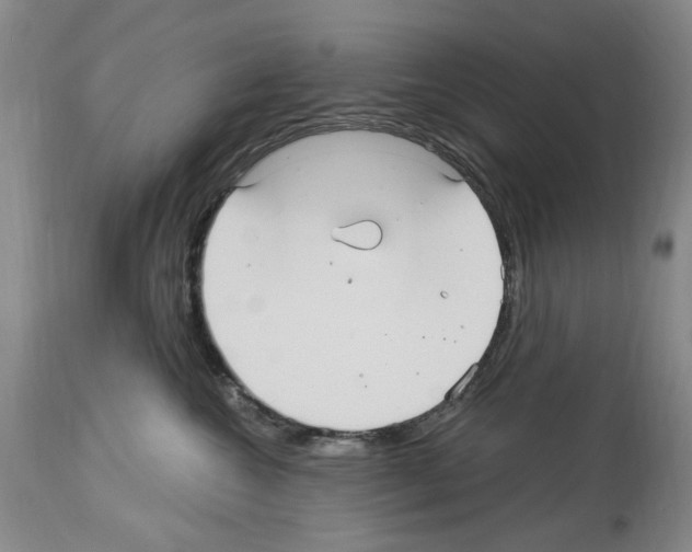 X0000113960572200911061328