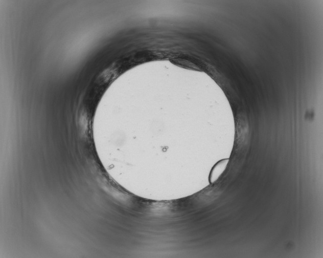 X0000113960574200911061328