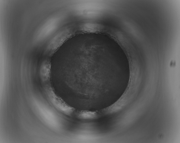 X0000113960576200911061328