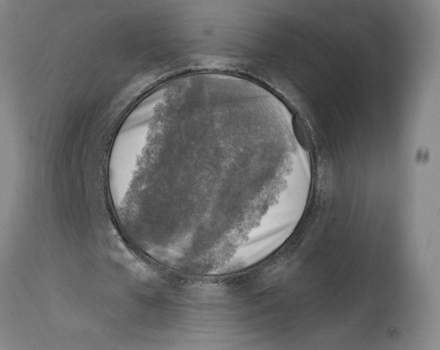 X0000113960577200911061327