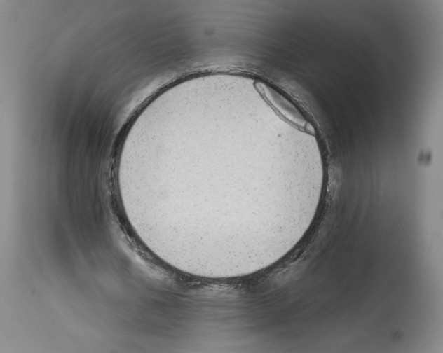 X0000113960578200911061327