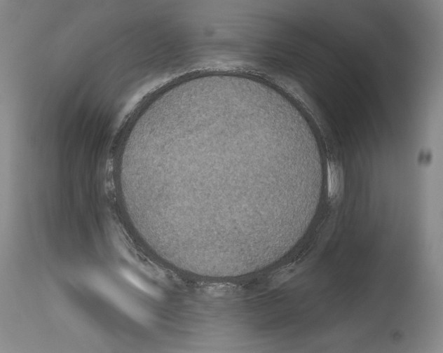 X0000113960579200911061327