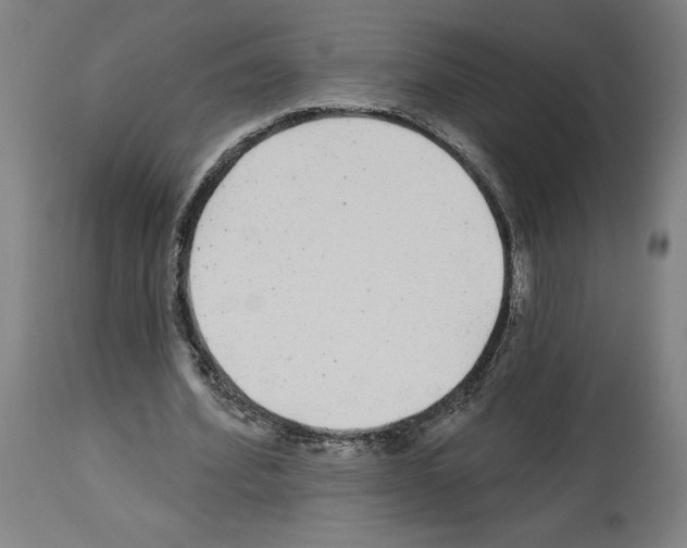 X0000113960580200911061327