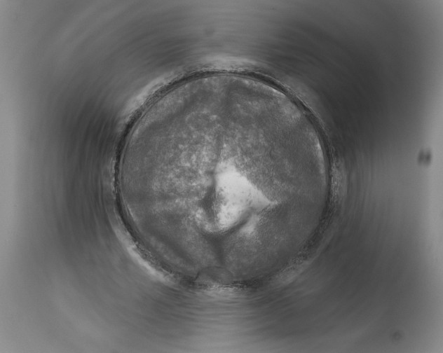 X0000113960581200911061327
