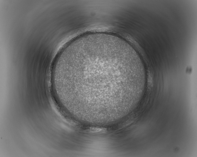 X0000113960582200911061327