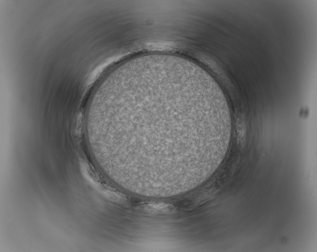 X0000113960583200911061327