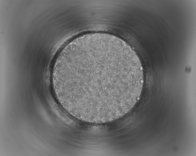X0000113960584200911061327
