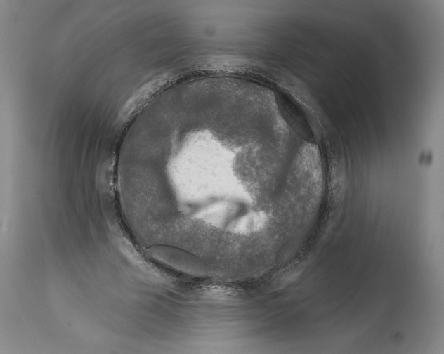 X0000113960585200911061327