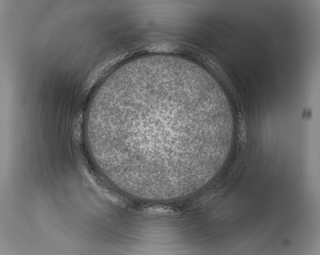 X0000113960586200911061327