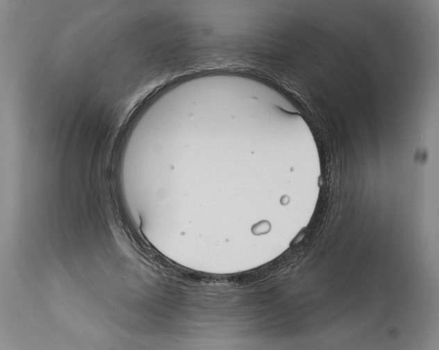 X0000113960587200911061327