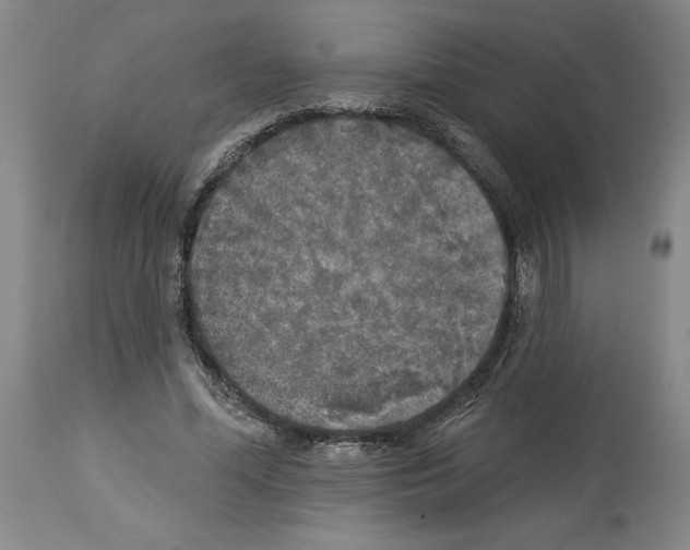 X0000113960588200911061327