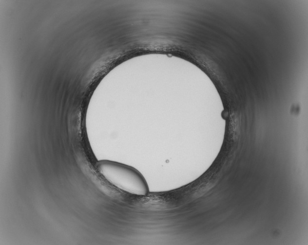 X0000113960589200911061327
