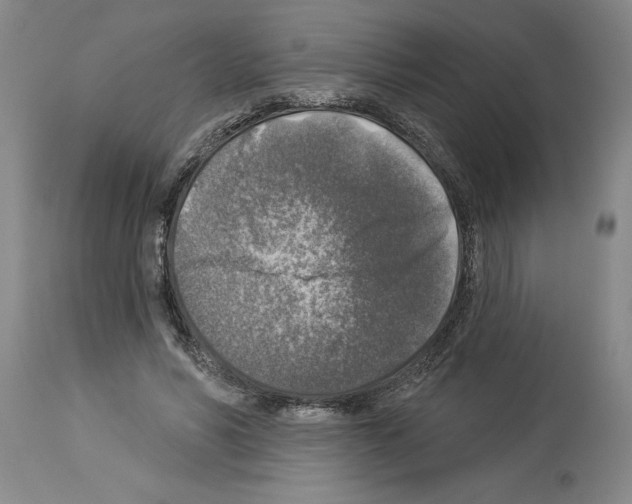 X0000113960590200911061327