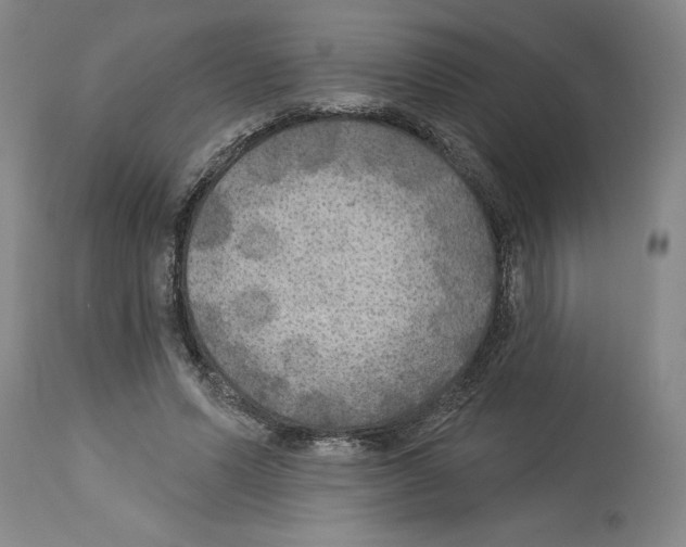 X0000113960591200911061327