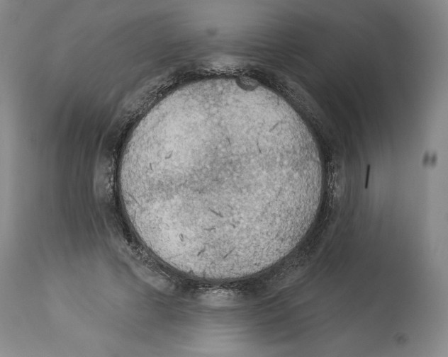 X0000113960593200911061327