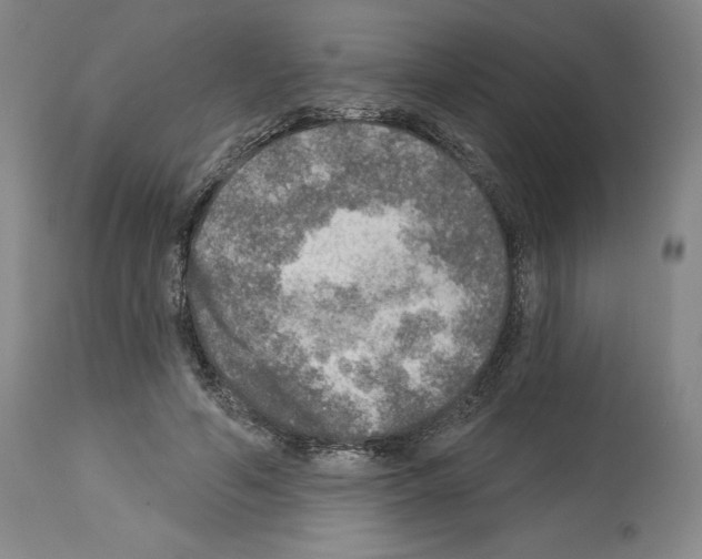 X0000113960594200911061327