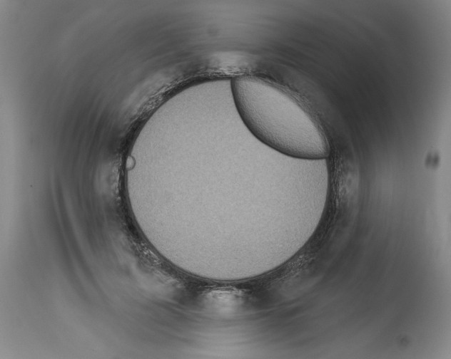 X0000113960595200911061327