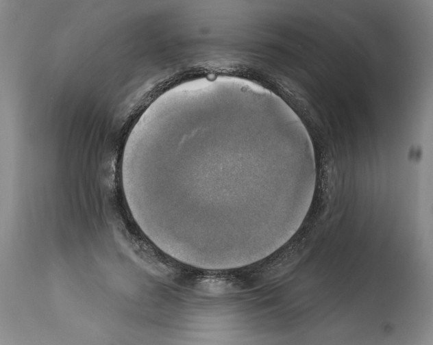 X0000113960596200911061327