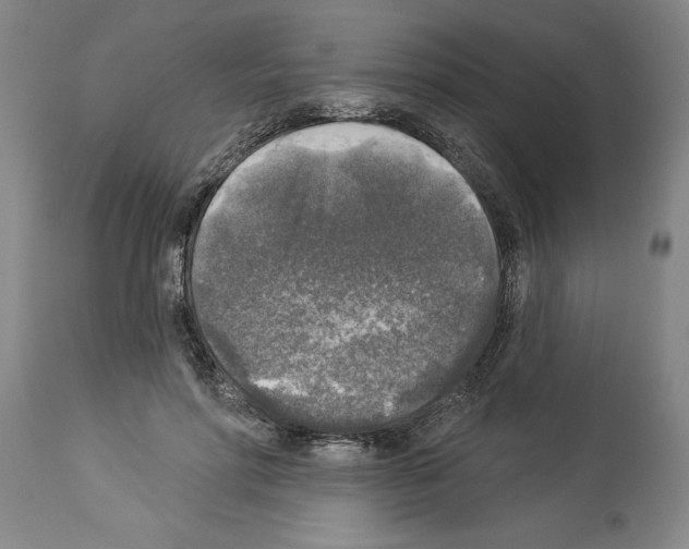 X0000113960598200911061327