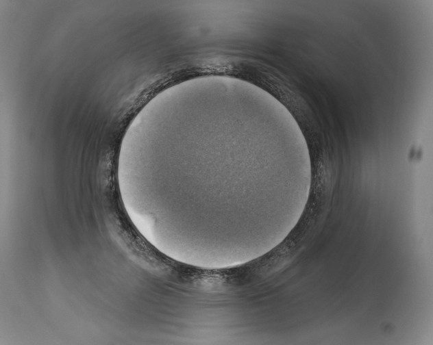 X0000113960600200911061327