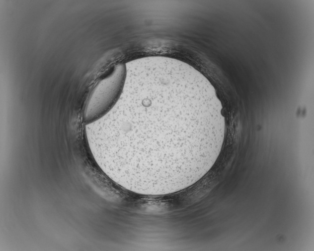 X0000113960601200911061327