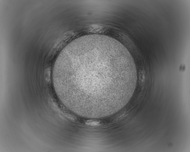 X0000113960602200911061327