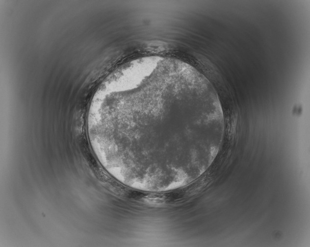 X0000113960606200911061327